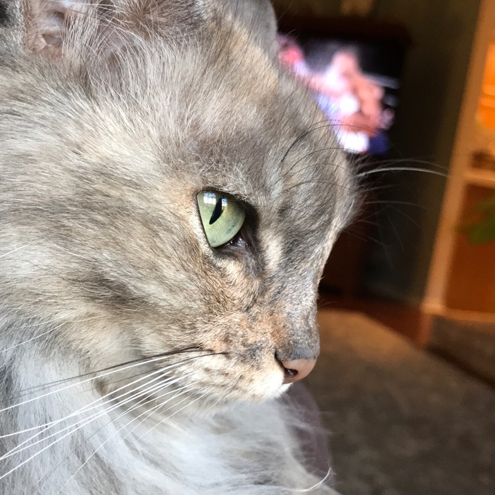 Meet your Posher, Mary